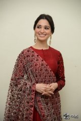 Tamannaah at Speedunnodu Movie Audio Launch